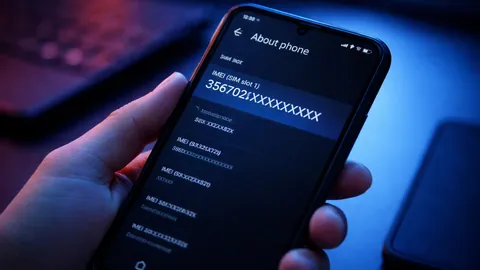 How to Check if a Phone Is Stolen Using IMEI